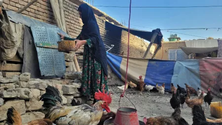 Afghanistan_Woman standing in makeshift chicken coop