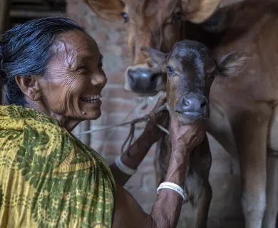 Bangladesh_Woman holding calf