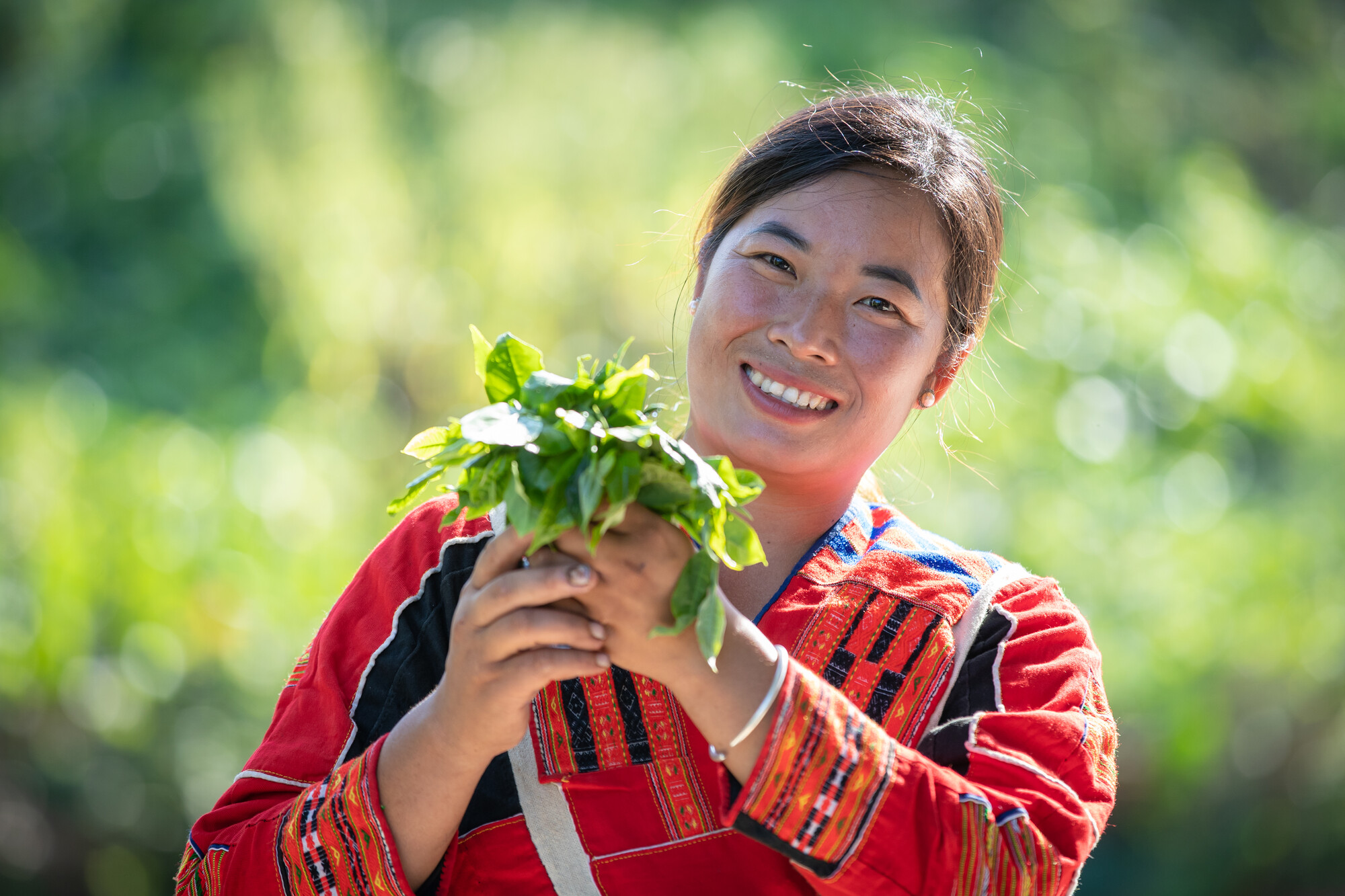 Our programmes around the world