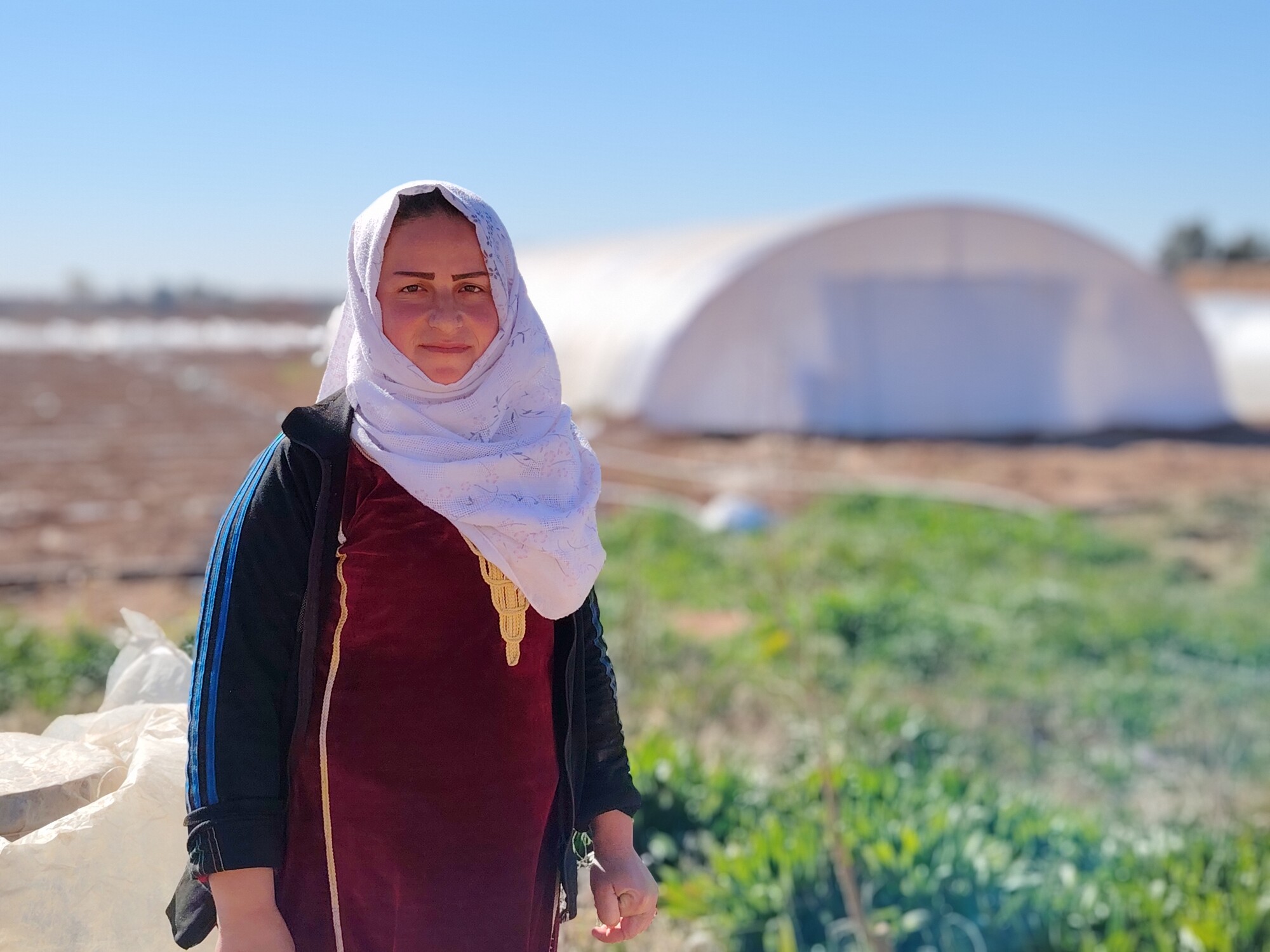 Our programmes around the world