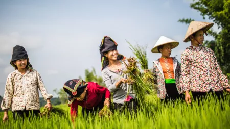 A group of Vietnamese women stand in a field of tall grass. Some of them are clutching big handfuls of vegetation in their hands.