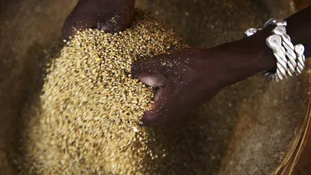 Hands mixing grains