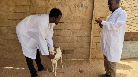 veterinarian Ahmed Saleban. He treats the animals with medicine and advises the village