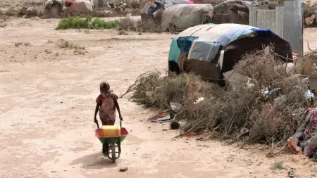 Woman carrying wheelbarrow in IDP camp in Somalia