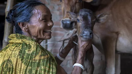 Bangladesh_Woman holding calf