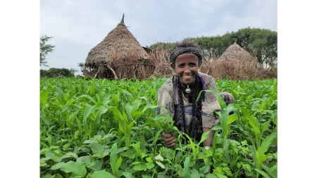 Ethiopia_Woman kneeling in farm full of crops