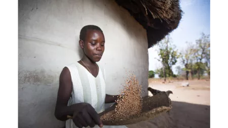Uganda_Young girl sieving nuts