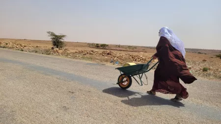 Woman on empty road pushing barrow