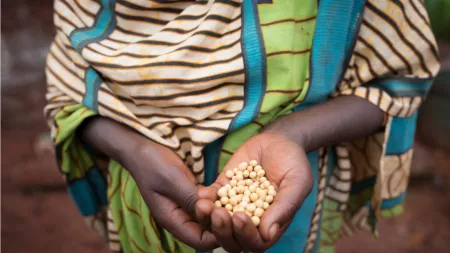 Tanzania_Hands holding soybeans