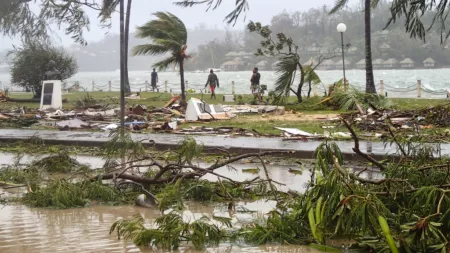 Vanuatu_Trees blown away by cyclone