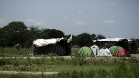 Sudan_Informal housing with sticks and tents put up in front of them