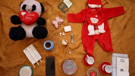 Syria_Panda toy phone crockery electronics and baby's red christmas outfit