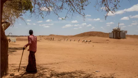 Somalia_Man with cane standing under tree looking at goats in dry area