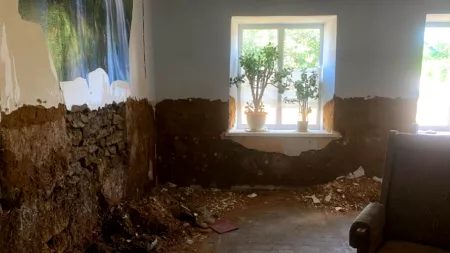 Ukraine_Destroyed living room with growing plants on the window pane