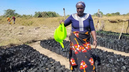 Zambia_Woman in vegetable garden watering plants with green watering can