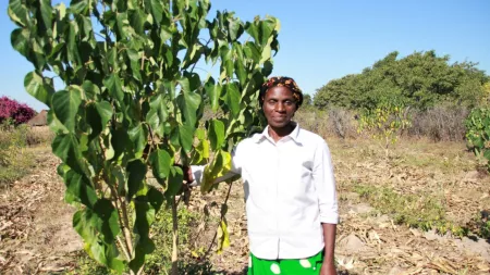 Zambia_Woman standing next to a green tree with green cloth around waist