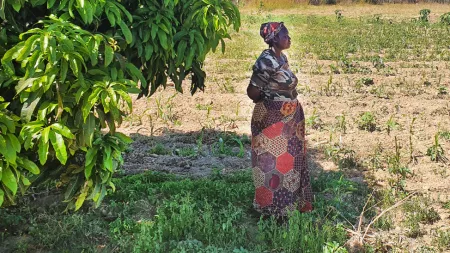 Zambia_Woman standing under tree shade looking out into sandy area
