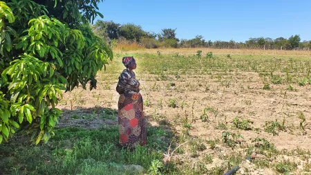 Woman standing in plantation in front of a tree