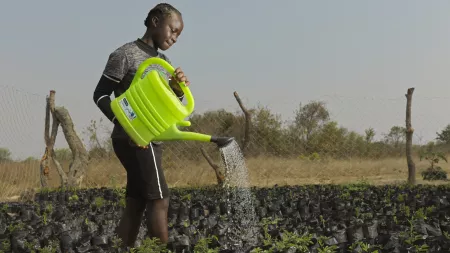 Woman watering crop