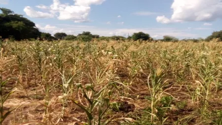 Photo Credit: Mvula Abinala/CARE International