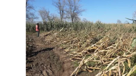 Photo Credit: Mvula Abinala/CARE International