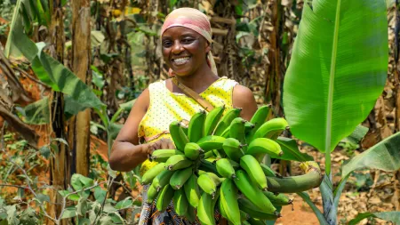 Woman with yellow shirt, standing in a plantation while holding green bananas.
