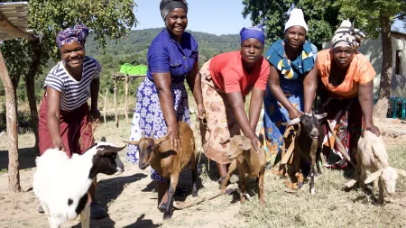 Zimbabwean women with their goats