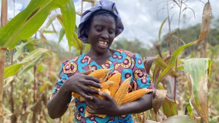 Woman smiling while holding ears of corn. She is standing in a plantation.