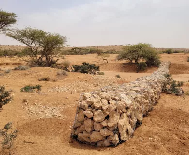Drought in Somalia: 13 liters per person for an entire month