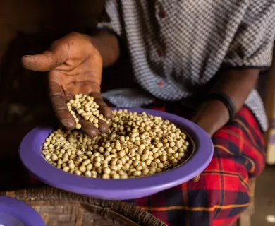 Hands of woman showing grains in Tanzania