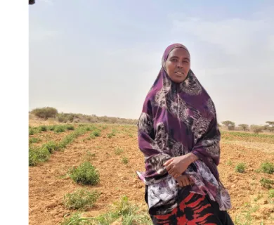 Drought in Somalia: "If things go on like this, we will also lose our lives” 