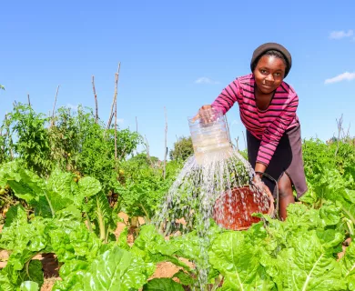 Woman watering crops