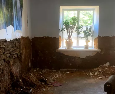 Ukraine_Destroyed living room with growing plants on the window pane