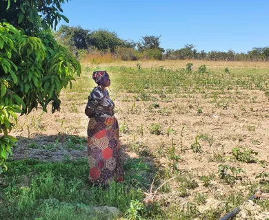 Woman in plantation looking at the horizon