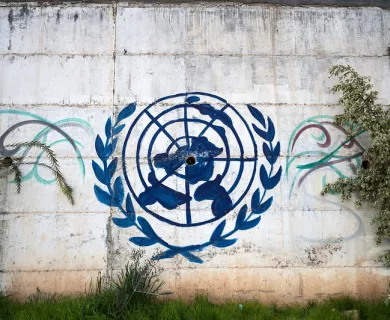 United Nations blue logo on white wall with green lawn in front