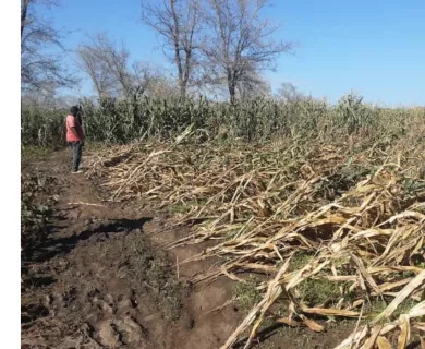 Photo Credit: Mvula Abinala/CARE International