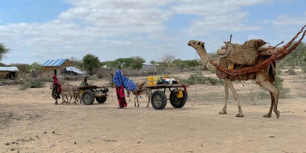 Hunger is still causing death in Somalia - Vimarsana News