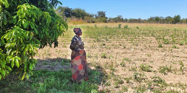 Landmark agreements but COP28 deal weak on adaptation finance - Vimarsana News