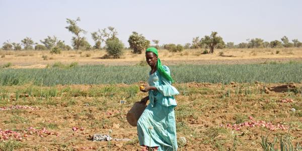 CARE calls for urgent action for women and girls facing hunger crisis - Vimarsana News